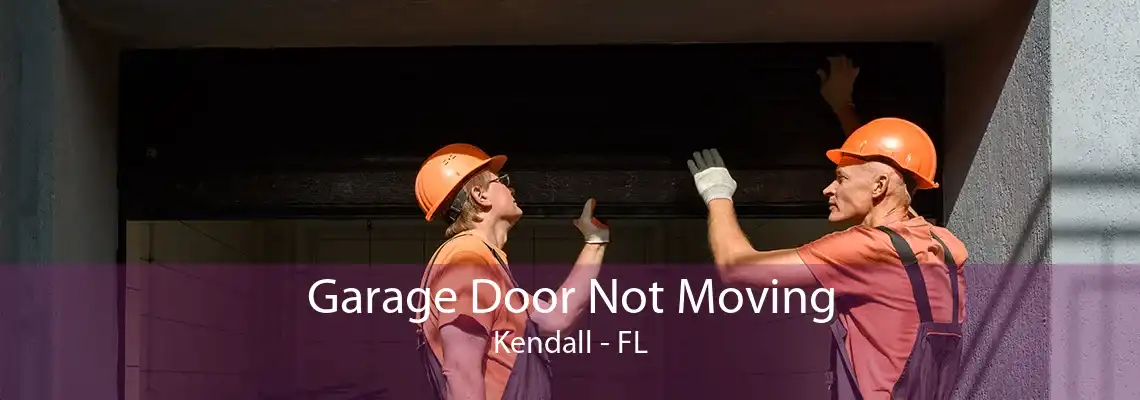 Garage Door Not Moving Kendall - FL