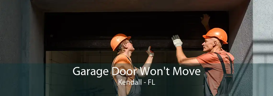 Garage Door Won't Move Kendall - FL